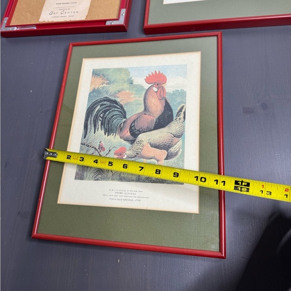 Vintage Pair of Roosters Hens Prints Dorkings Grafiche Tassotti Farmhouse - Picture 9 of 9